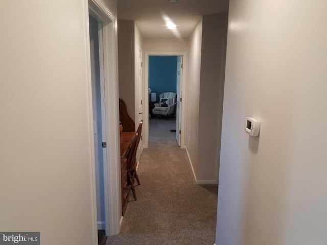 hallway with carpet flooring