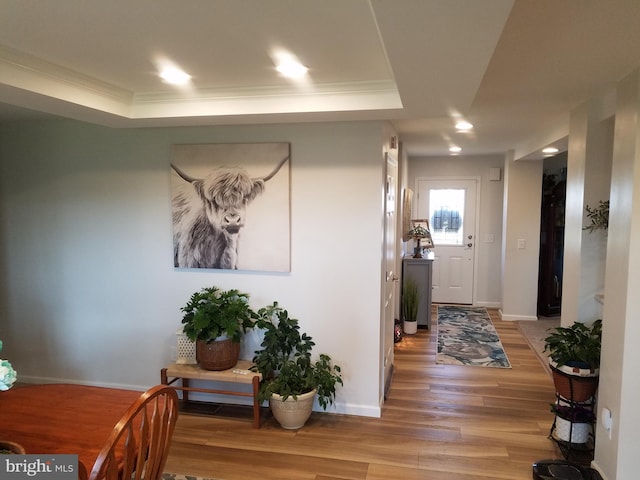 hallway featuring a tray ceiling, hardwood / wood-style floors, and ornamental molding