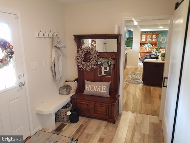 mudroom with light hardwood / wood-style flooring and plenty of natural light