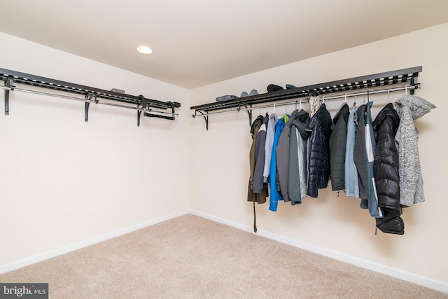 walk in closet featuring carpet floors