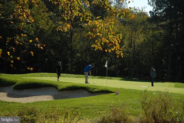 view of property's community with a yard