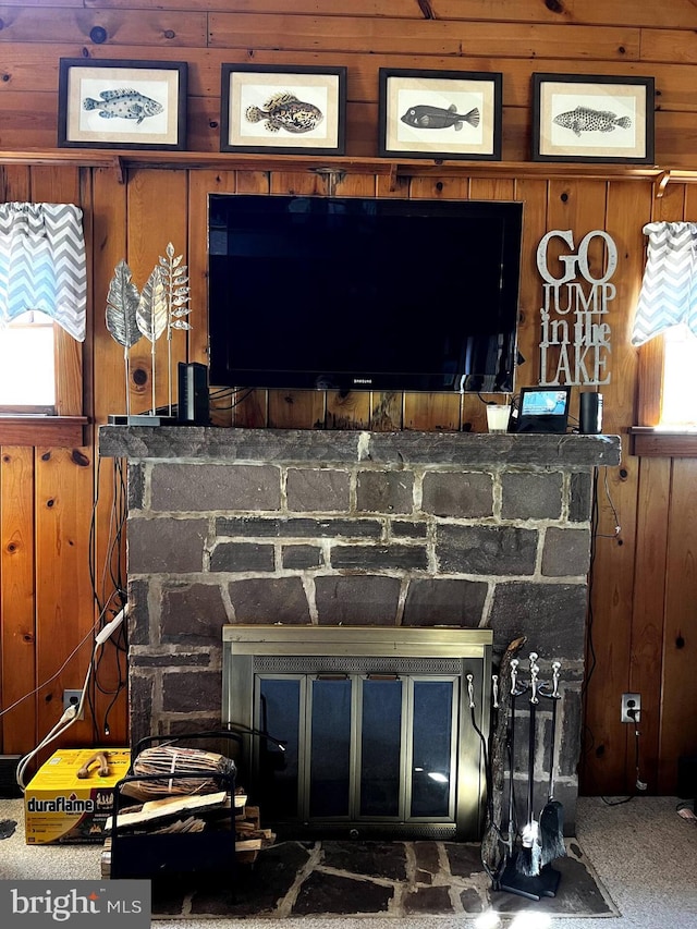 room details featuring carpet and wooden walls