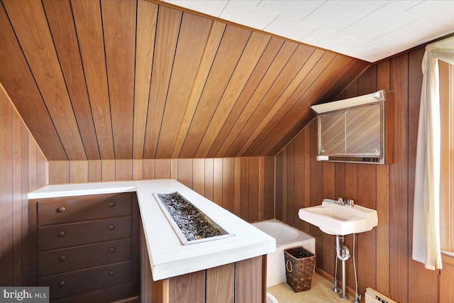 interior space featuring wood ceiling, wood walls, and carpet