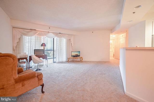 sitting room featuring a textured ceiling and light colored carpet