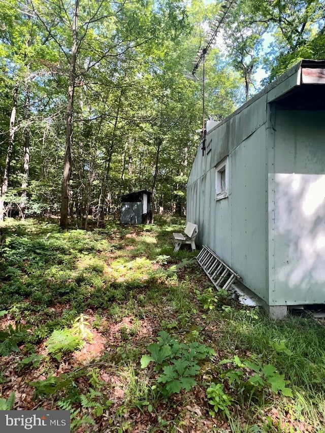 view of yard featuring a shed