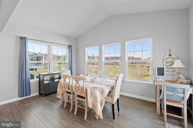 dining space with lofted ceiling and dark hardwood / wood-style flooring