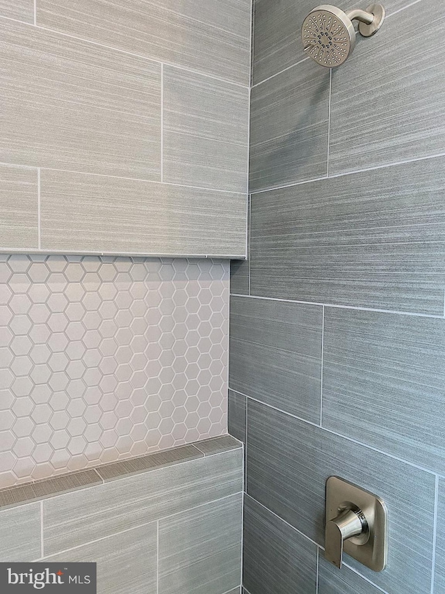 76 Long Ln, Kirkwood, PA 17536 - details featuring a tile shower