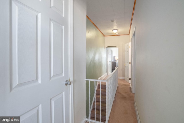 hall featuring ornamental molding and light colored carpet