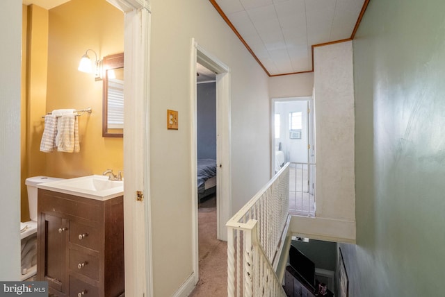 hallway with carpet floors, a sink, and crown molding