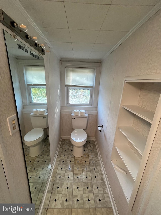 bathroom featuring toilet, ornamental molding, and a wealth of natural light