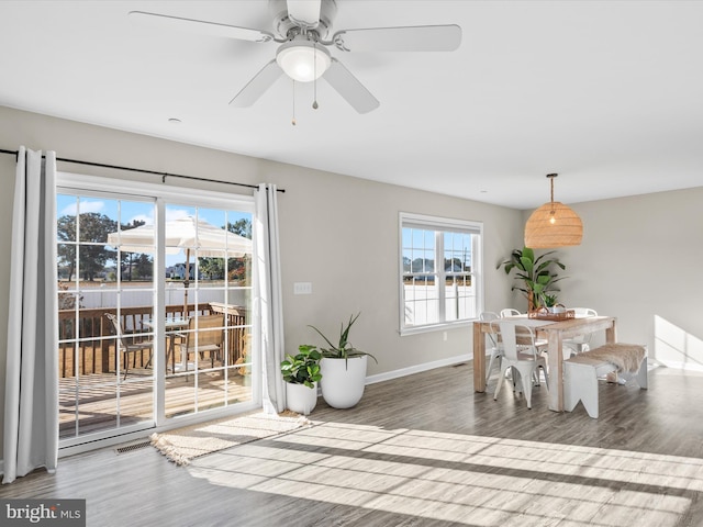 dining room featuring ceiling fan and wood-type flooring