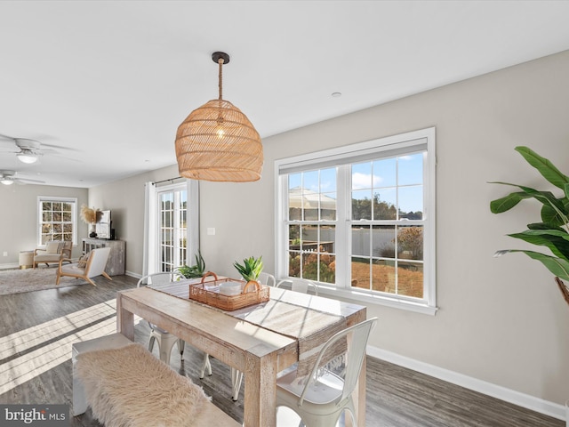 dining area featuring dark hardwood / wood-style floors and ceiling fan