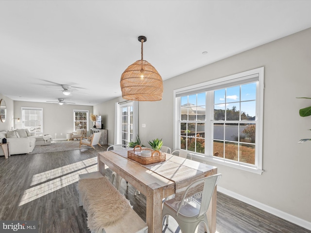 dining room featuring ceiling fan and dark hardwood / wood-style floors