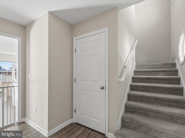 stairs featuring wood-type flooring