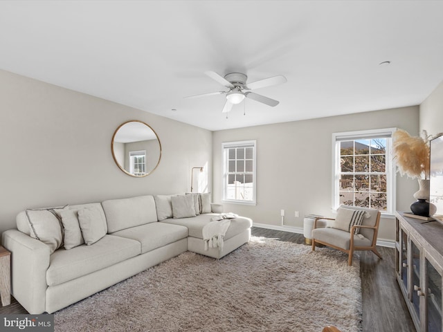 living room featuring ceiling fan and dark hardwood / wood-style flooring