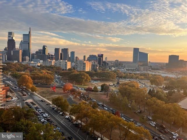 property's view of city