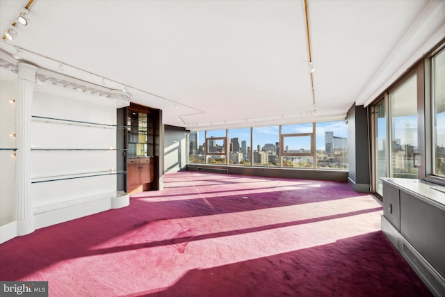 unfurnished sunroom with a healthy amount of sunlight and rail lighting