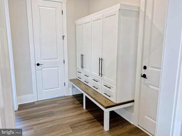 mudroom with hardwood / wood-style floors