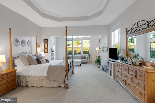 carpeted bedroom with a tray ceiling, multiple windows, and crown molding