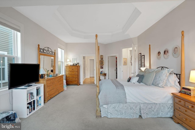 bedroom featuring a raised ceiling and light carpet