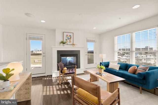 living room with a wealth of natural light and wood-type flooring