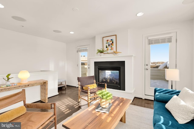 living room with dark hardwood / wood-style floors