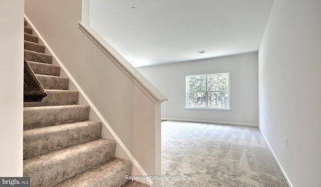 staircase featuring carpet