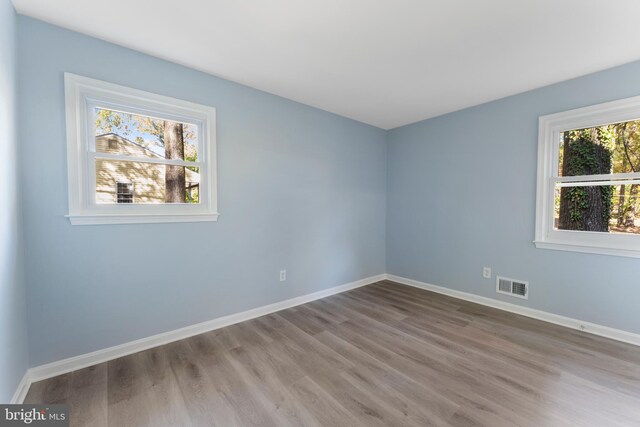 spare room featuring wood-type flooring