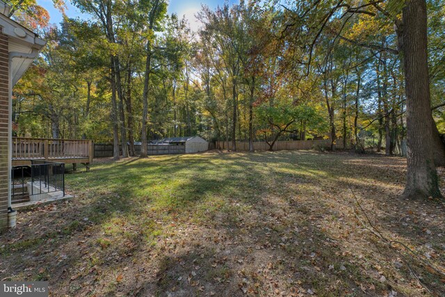 view of yard featuring a storage shed and a wooden deck