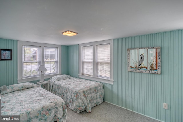 bedroom with carpet flooring