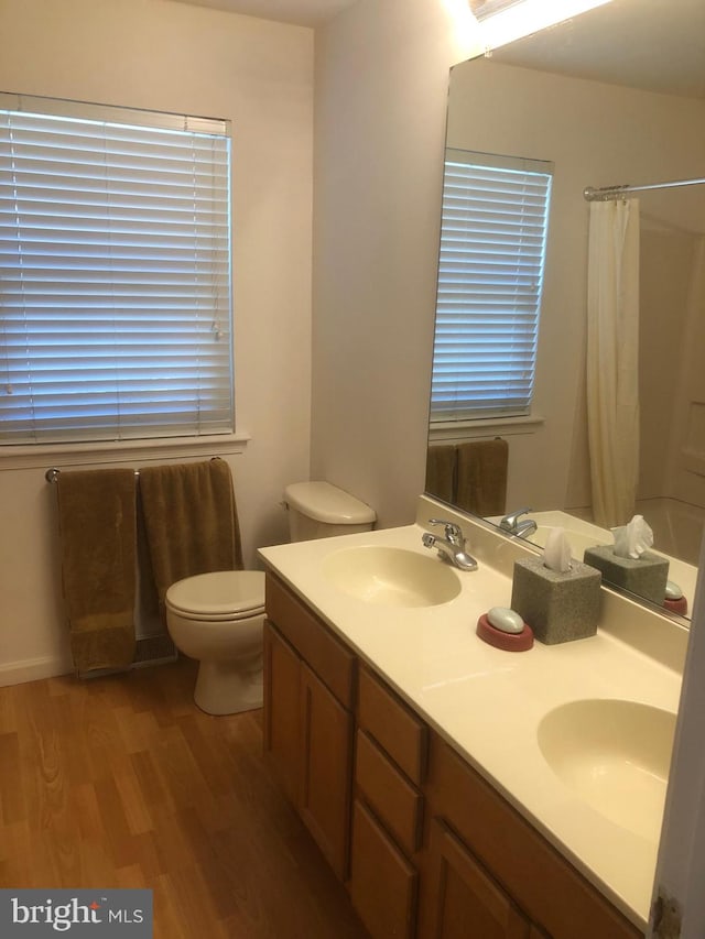 bathroom with toilet, vanity, and wood-type flooring