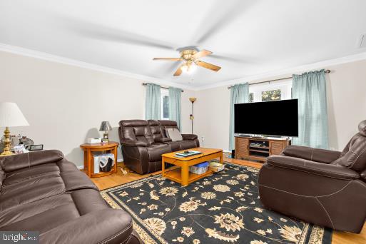 living room with ceiling fan, hardwood / wood-style flooring, and ornamental molding