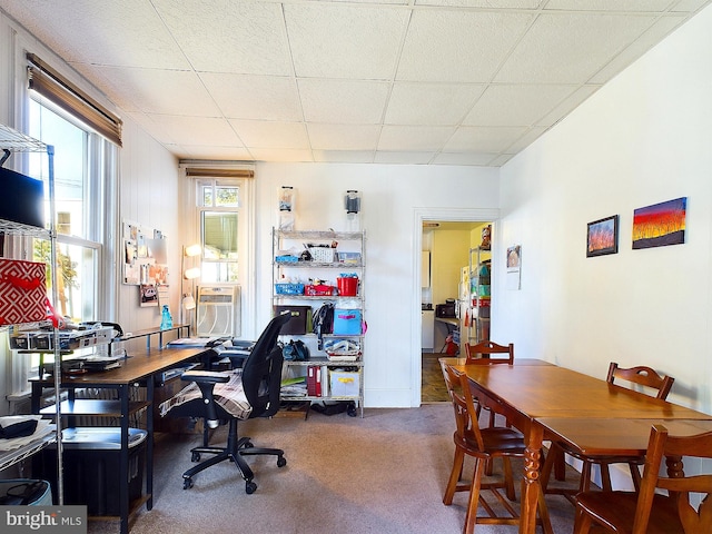 office area with a drop ceiling and carpet floors