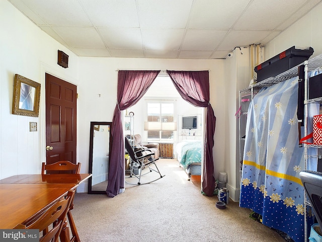 interior space featuring a drop ceiling and carpet floors