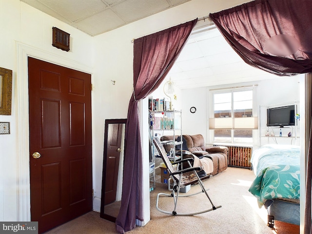 bedroom with carpet