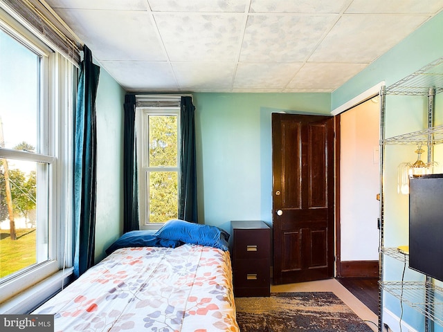 bedroom with hardwood / wood-style floors and multiple windows