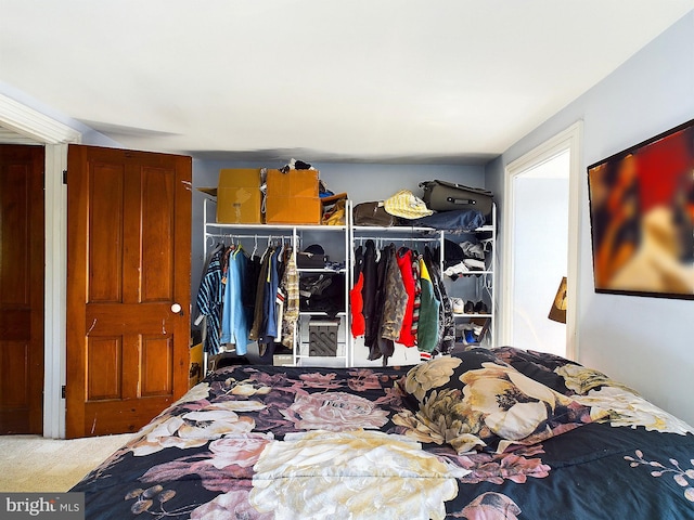 bedroom with carpet and a closet