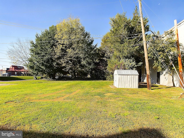 view of yard featuring a storage unit