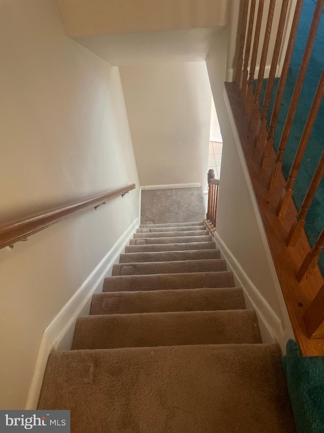 stairs with carpet flooring