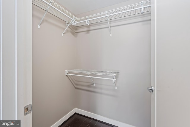 walk in closet with hardwood / wood-style flooring