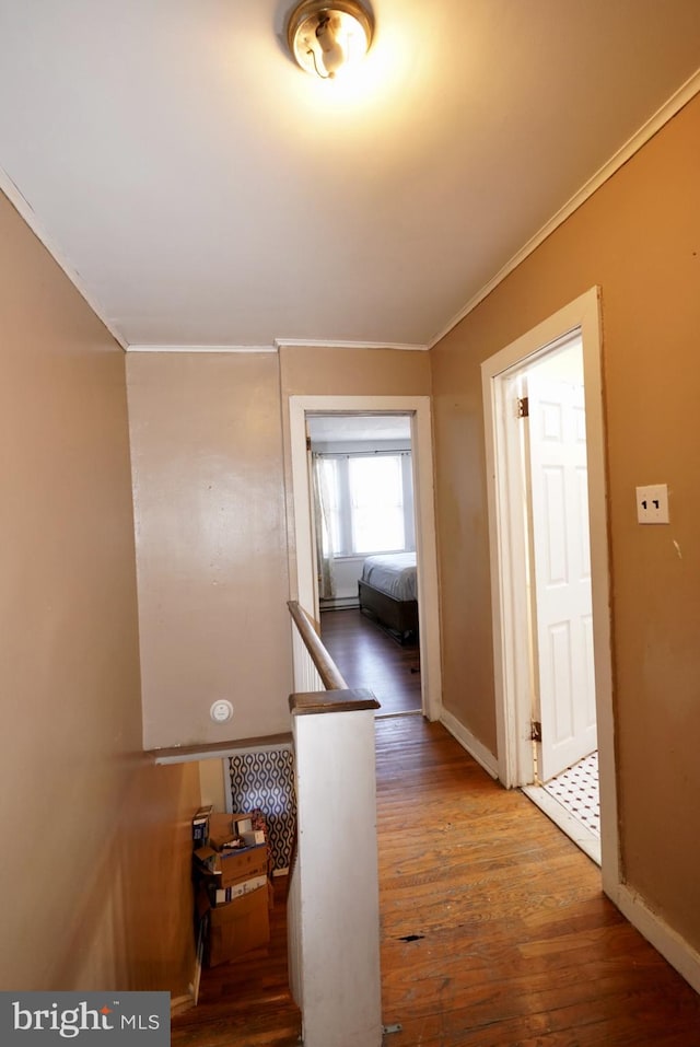 hallway with crown molding and wood-type flooring