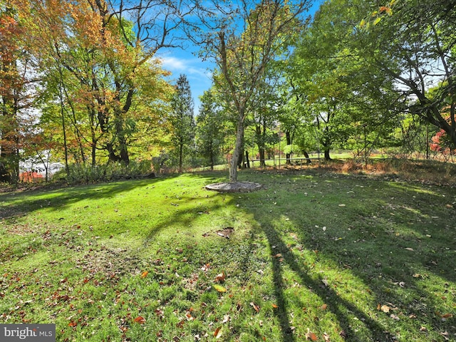 view of yard