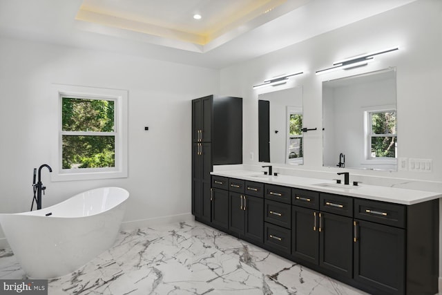 bathroom featuring vanity, a tub to relax in, and a tray ceiling