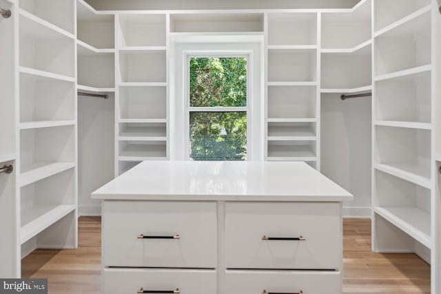 spacious closet featuring light hardwood / wood-style flooring