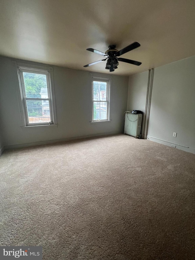 carpeted spare room with ceiling fan and a wealth of natural light