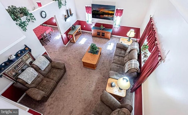 31 S Jersey Ave, Dorothy, NJ 08317 - living room with baseboards, a towering ceiling, and carpet