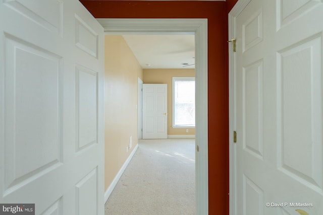 hallway with carpet flooring