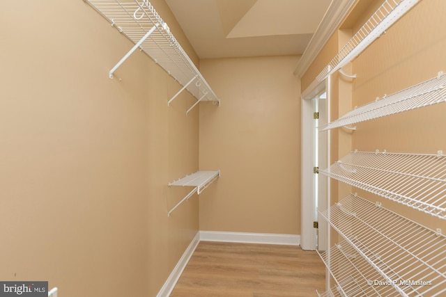 walk in closet featuring wood-type flooring