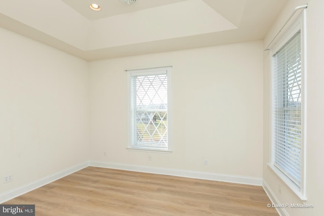 empty room featuring a tray ceiling and light wood-type flooring