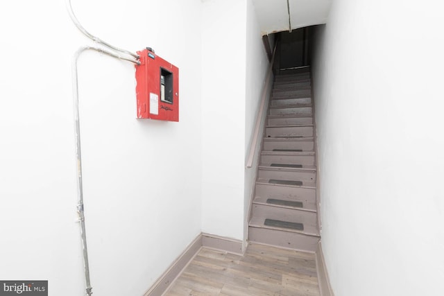 stairway with hardwood / wood-style floors